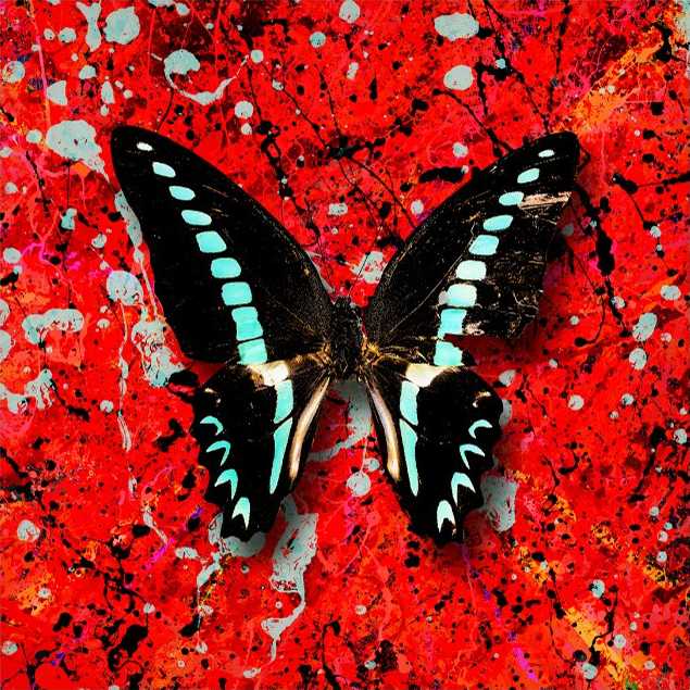 Album cover art for "First Times" by Ed Sheeran