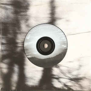 Cover image for We Owe This To Ourselves CD/Vinyl Hybrid