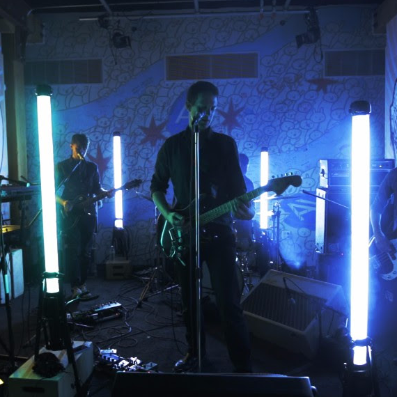 Photo of Shearwater