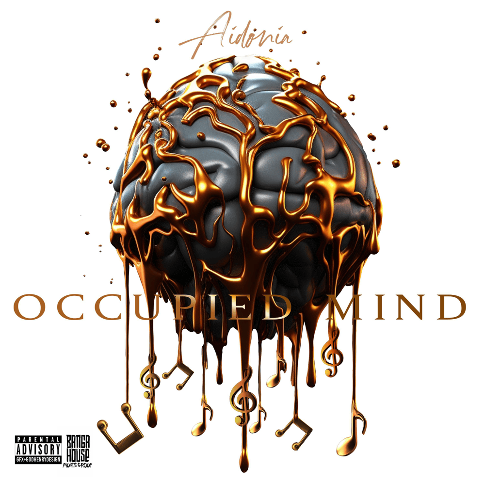 Cover image for Occupied Mind