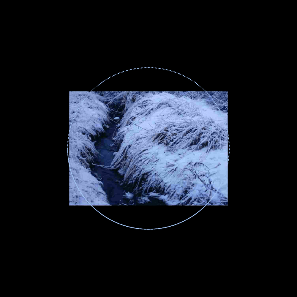 Album cover art for "Friends" by Alaska Sargent & saoirse dream