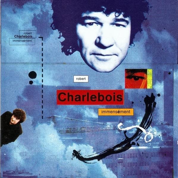Cover image for Immensément