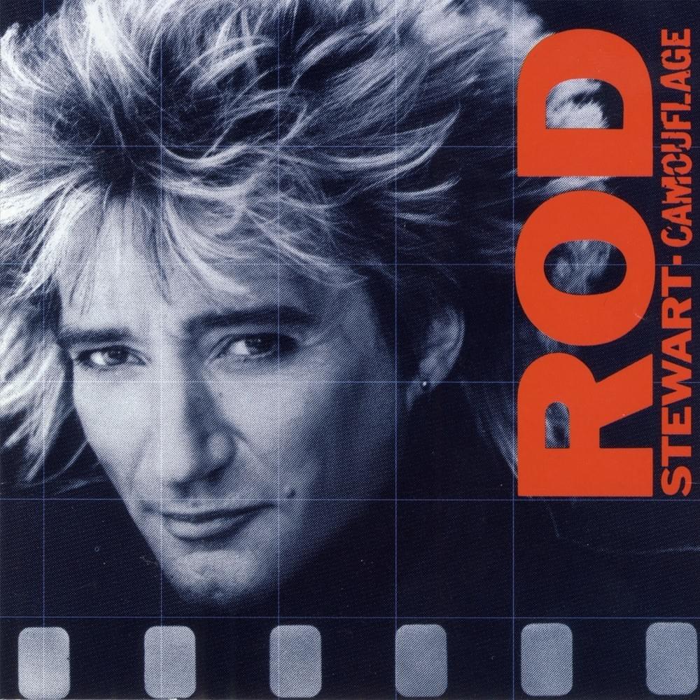 Cover image for Camouflage