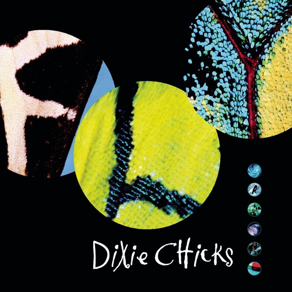 Album cover art for "Without You" by The Chicks