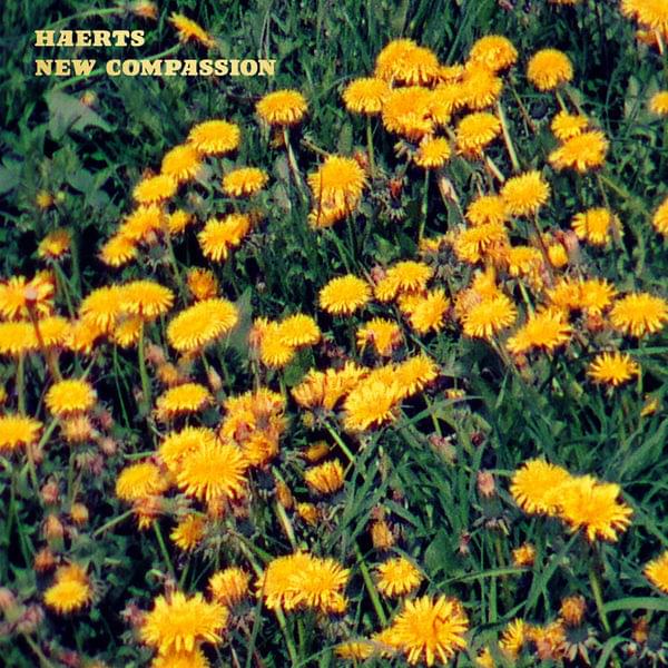 New Compassion by HAERTS