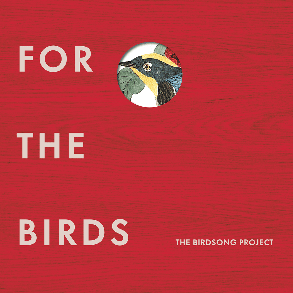 Cover image for The Birdsong Project