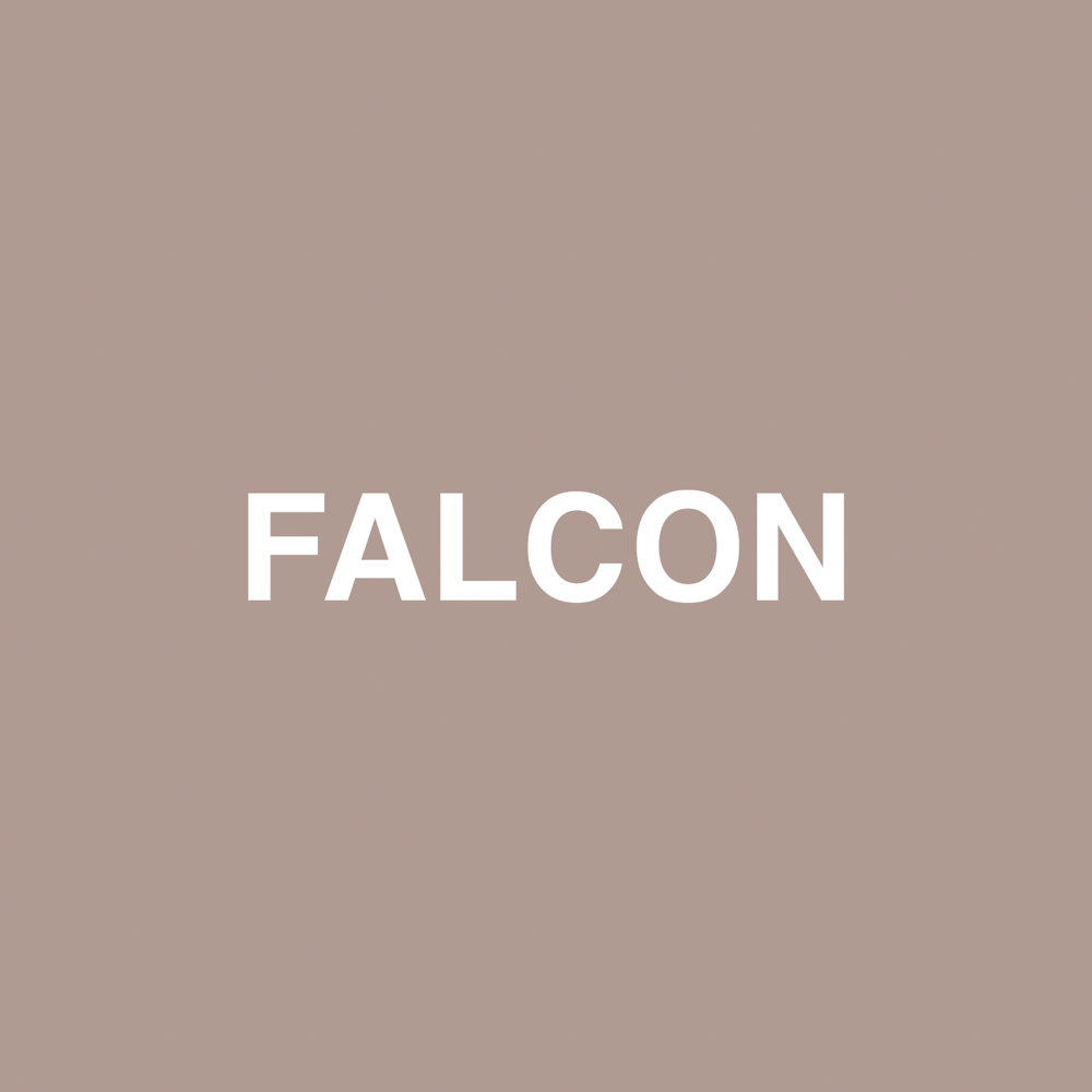 Album cover art for "Falcon" by Jaden & Raury