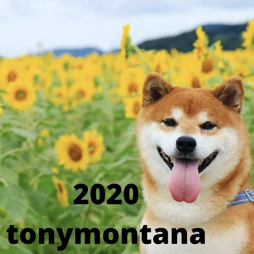 2020 by ​tonymontana