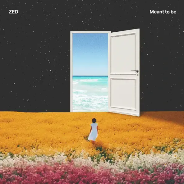 Meant To Be by Zed (NZL)