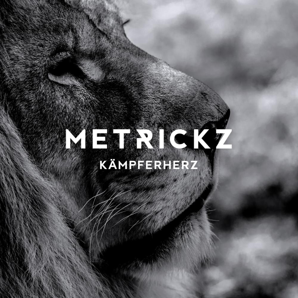 Album cover art for "Kämpferherz (Instrumental)" by Metrickz
