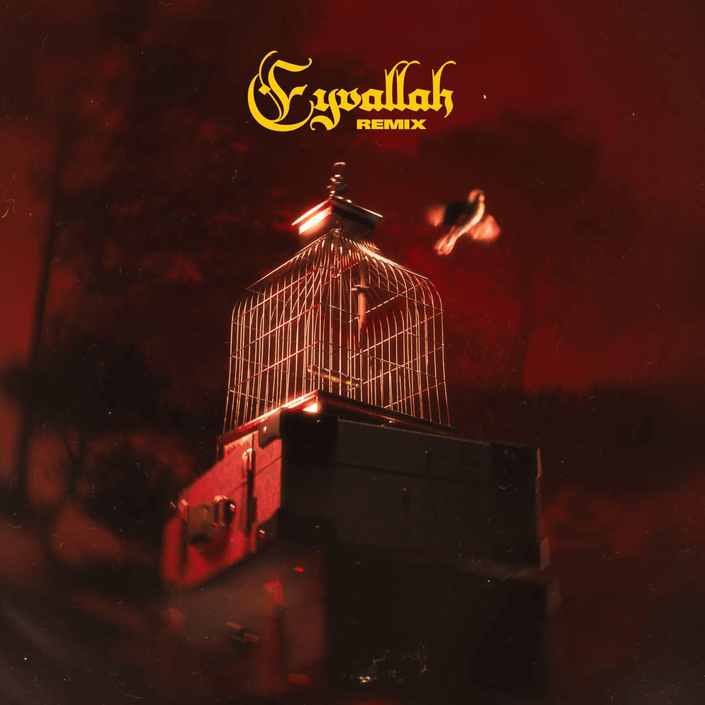Album cover art for "Eyvallah (Remix)" by Ezhel