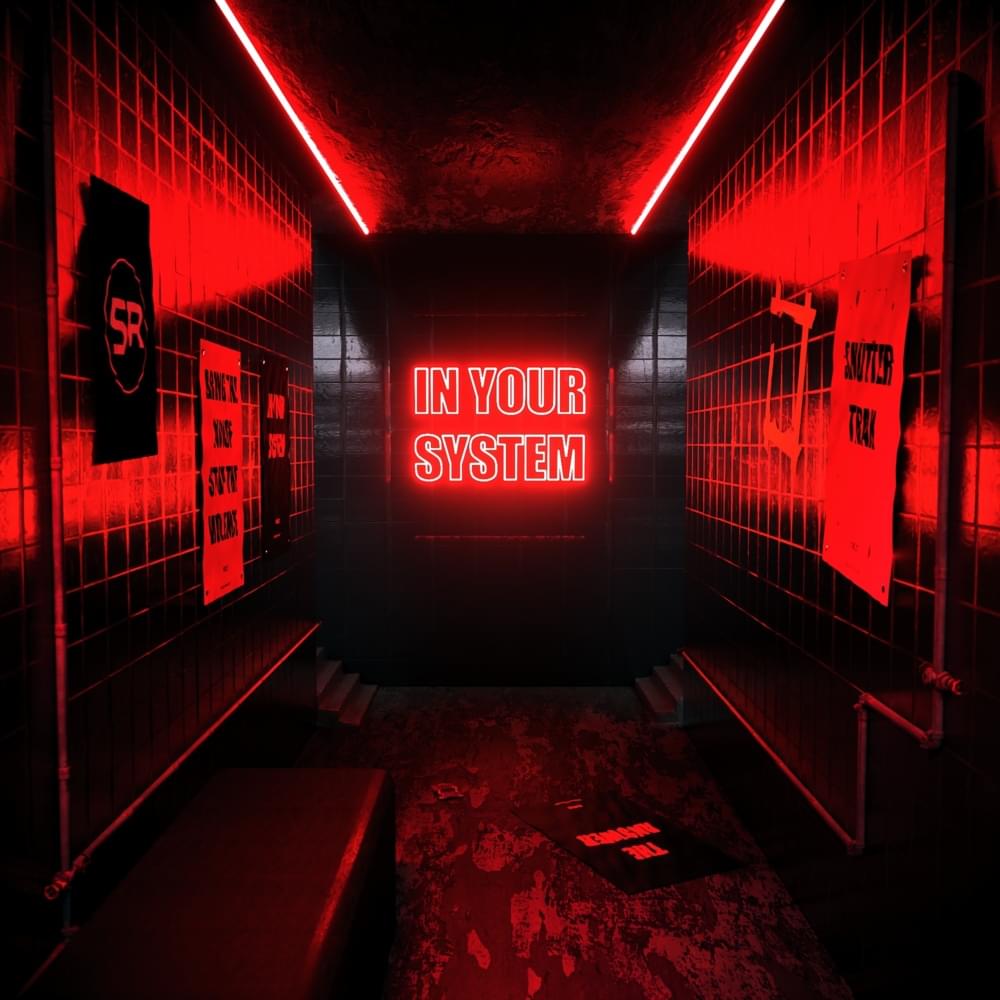 Cover image for In Your System