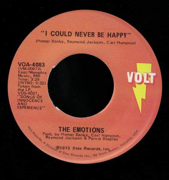 Album cover art for "I Could Never Be Happy" by RZA