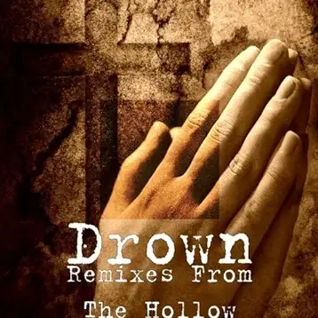 Cover image for Remixes From The Hollow