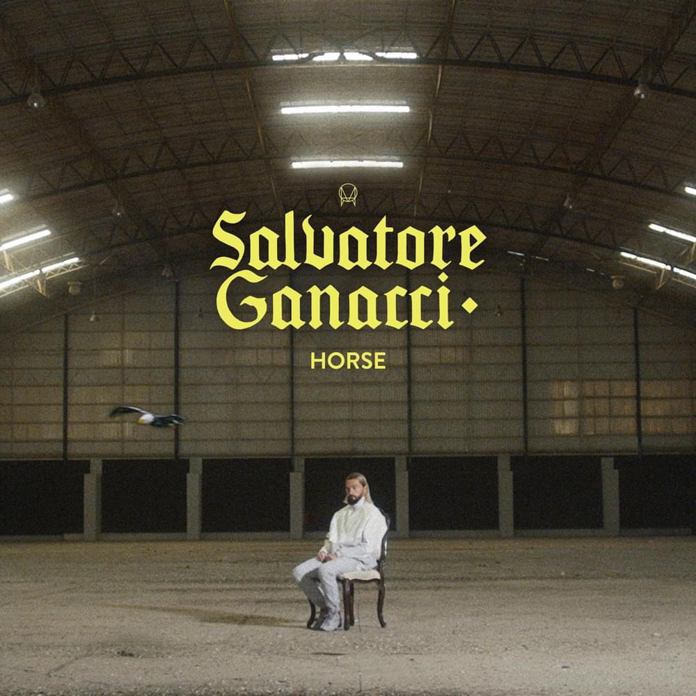 Album cover art for "Horse" by Salvatore Ganacci