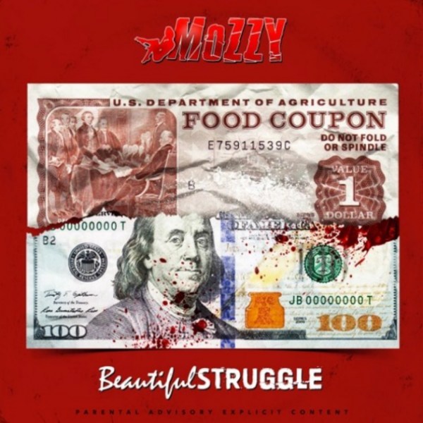 Cover image for Beautiful Stuggle