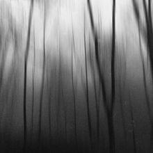 Cover image for Melancholie