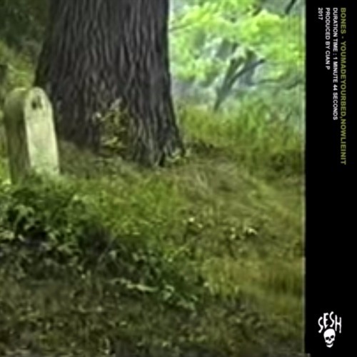 Album cover art for "YouMadeYourBed,NowLieInIt" by BONES