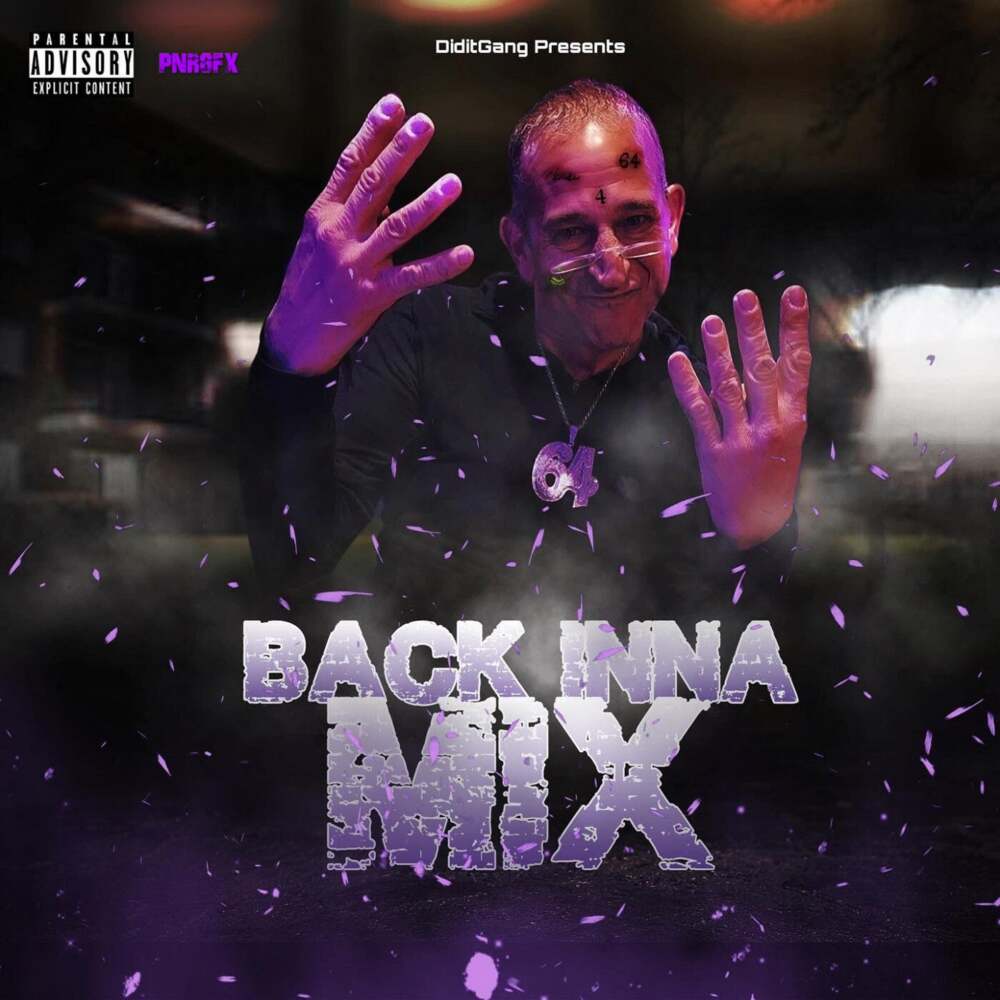 Album cover art for "Back Inna Mix" by Goonew