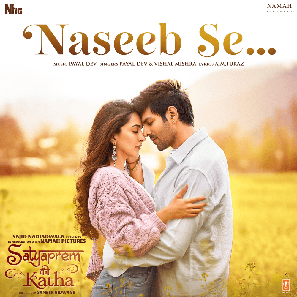 Album cover art for "Naseeb Se" by Payal Dev