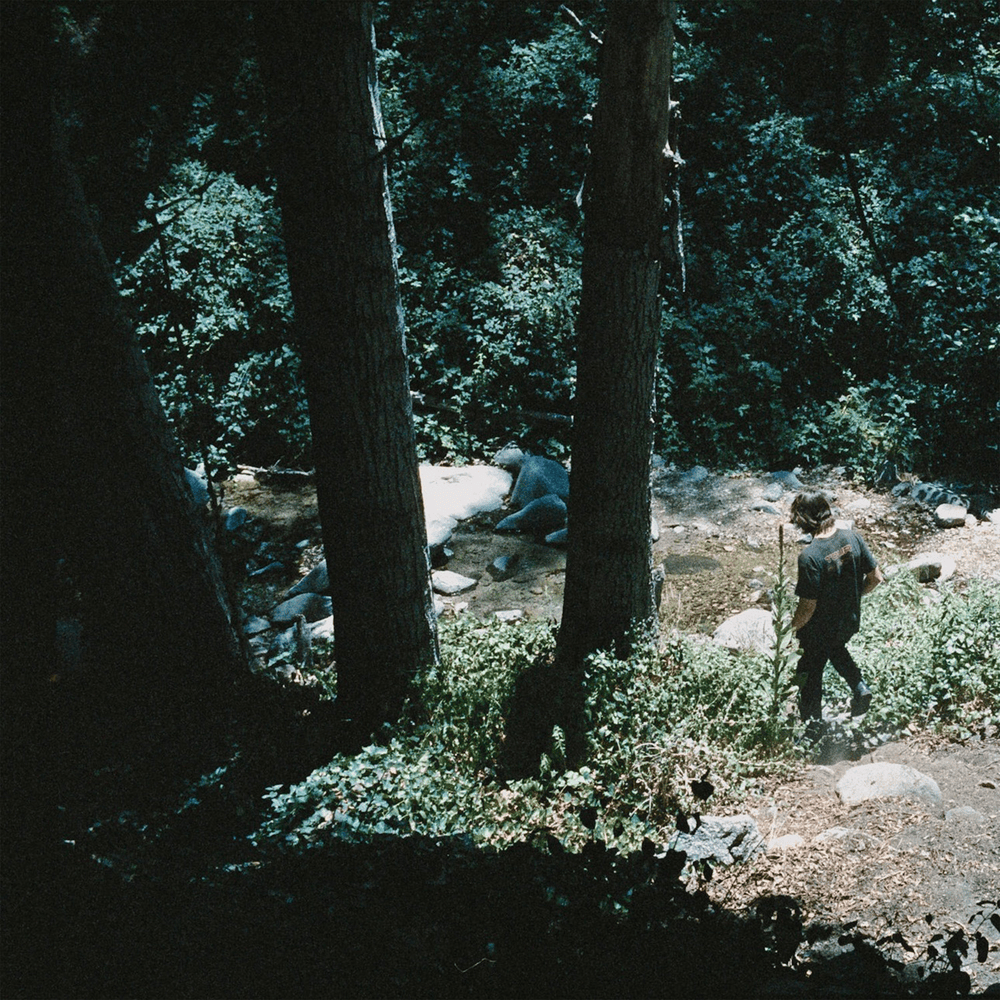 Album cover art for "Wolves of Worry" by Chance Peña