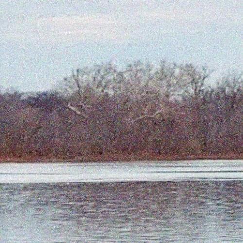 Photo of Tjuka