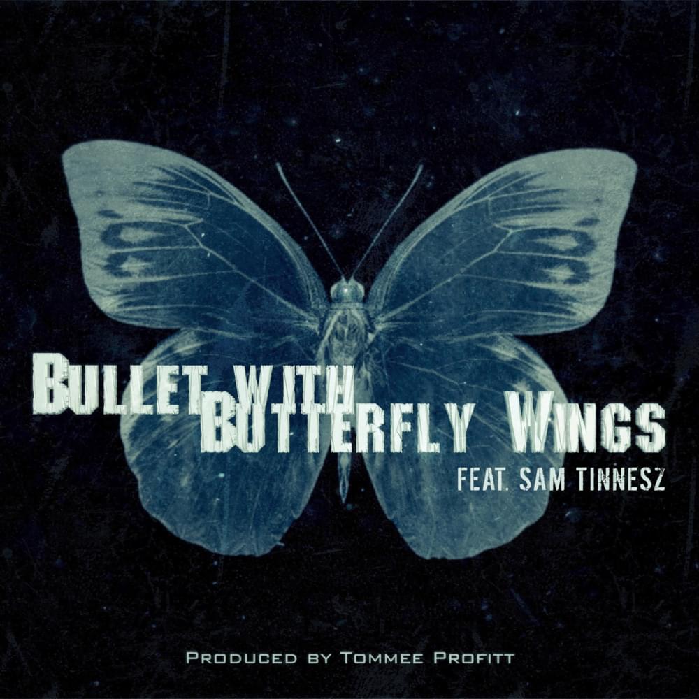 Album cover art for "Bullet With Butterfly Wings" by Tommee Profitt & Sam Tinnesz
