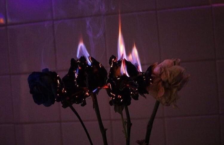 Album cover art for "wilting..." by Melody Lz