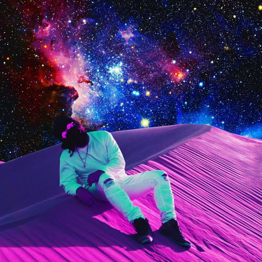 Cover image for SLWD