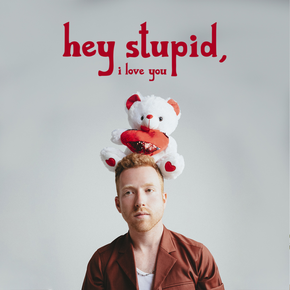 Hey Stupid, I Love You by JP Saxe