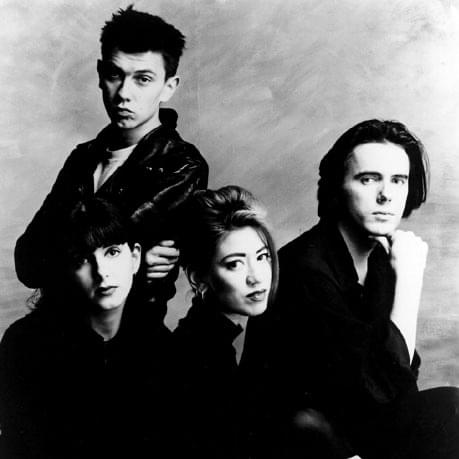 Lush Profile Picture Photo of Lush