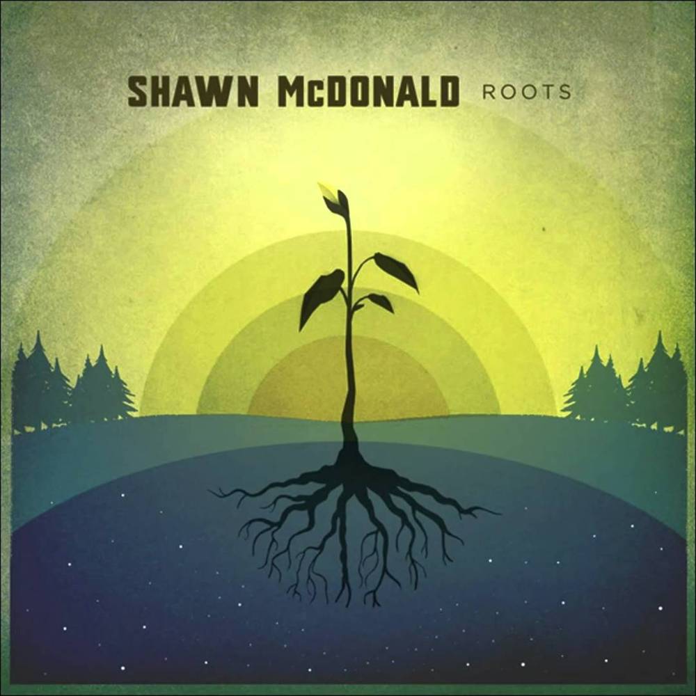 Waltz in 3 by Shawn McDonald