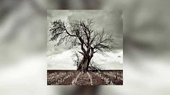 Album cover art for "Seco" by Khan