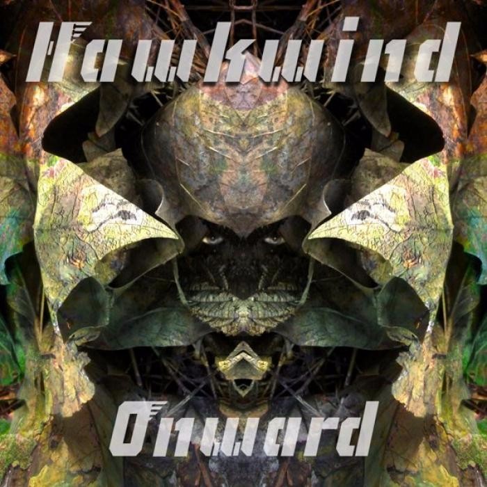 The Hills Have Ears by Hawkwind