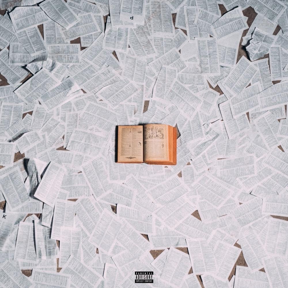 Album cover art for "Mon dico royal" by Demi Portion