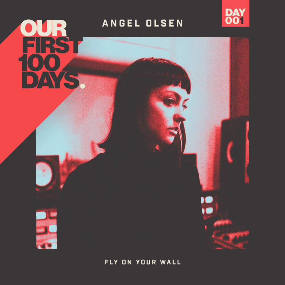 Album cover art for "Fly on Your Wall" by Angel Olsen