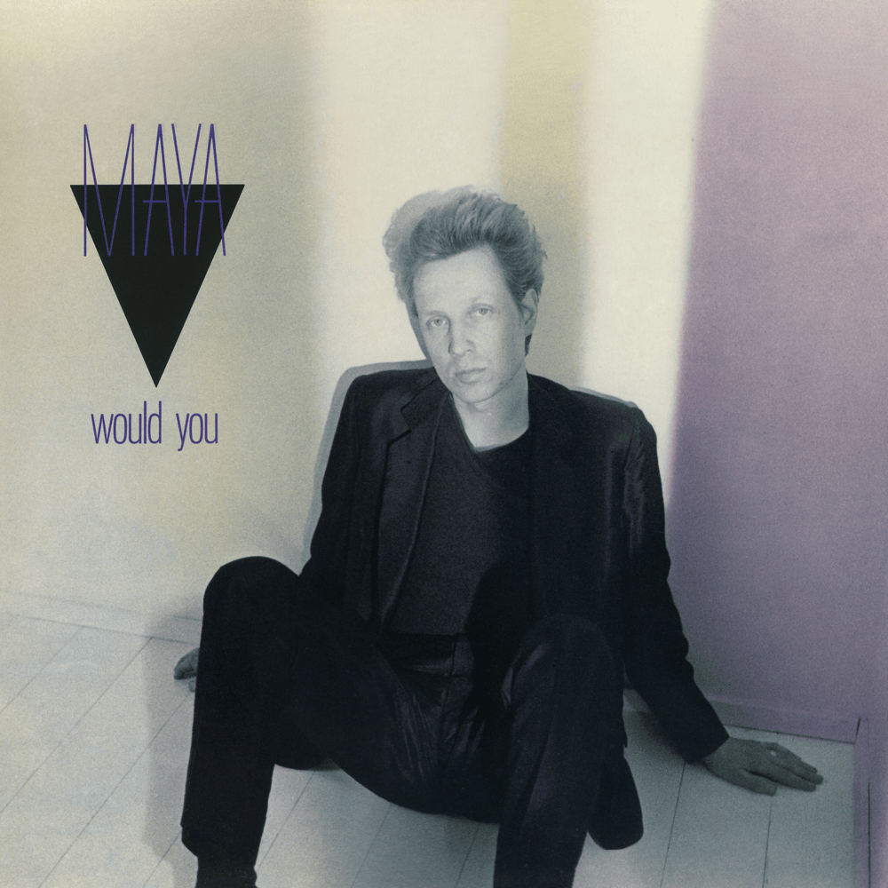 Cover image for Would You