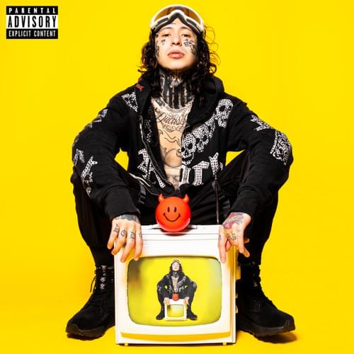 Album cover art for "Fake Love" by LiL Lotus