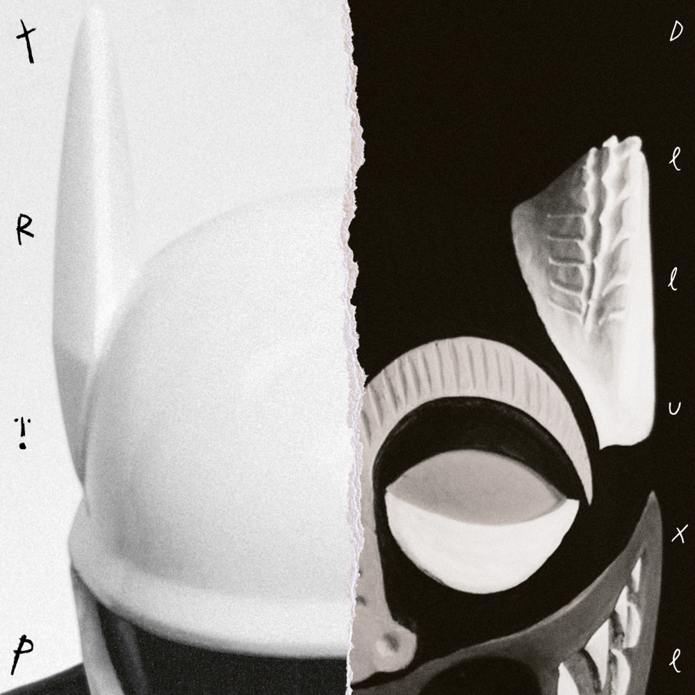 Cover image for trip (deluxe)