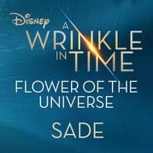 Album cover art for "Flower of the Universe (No I.D. Remix)" by Sade