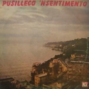 Cover image for Pusilleco ’nsentimento