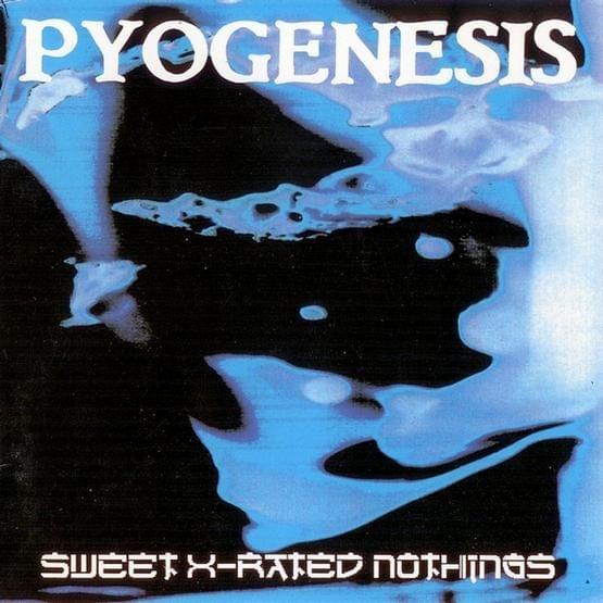 Cover image for Sweet X-Rated Nothings
