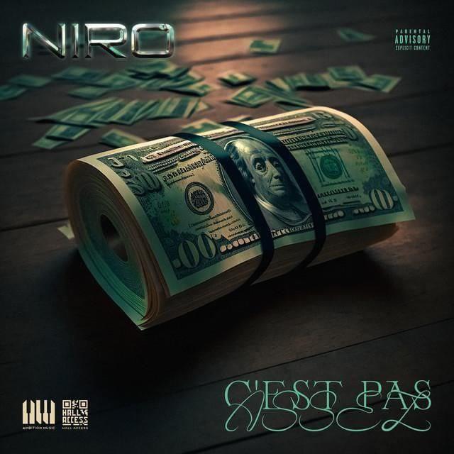 Album cover art for "C’est pas assez" by Niro