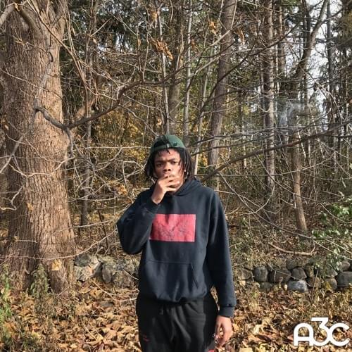Album cover art for "In This Car" by Trapo