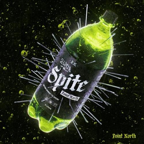 Album cover art for "2 LITER SPITE" by Point North