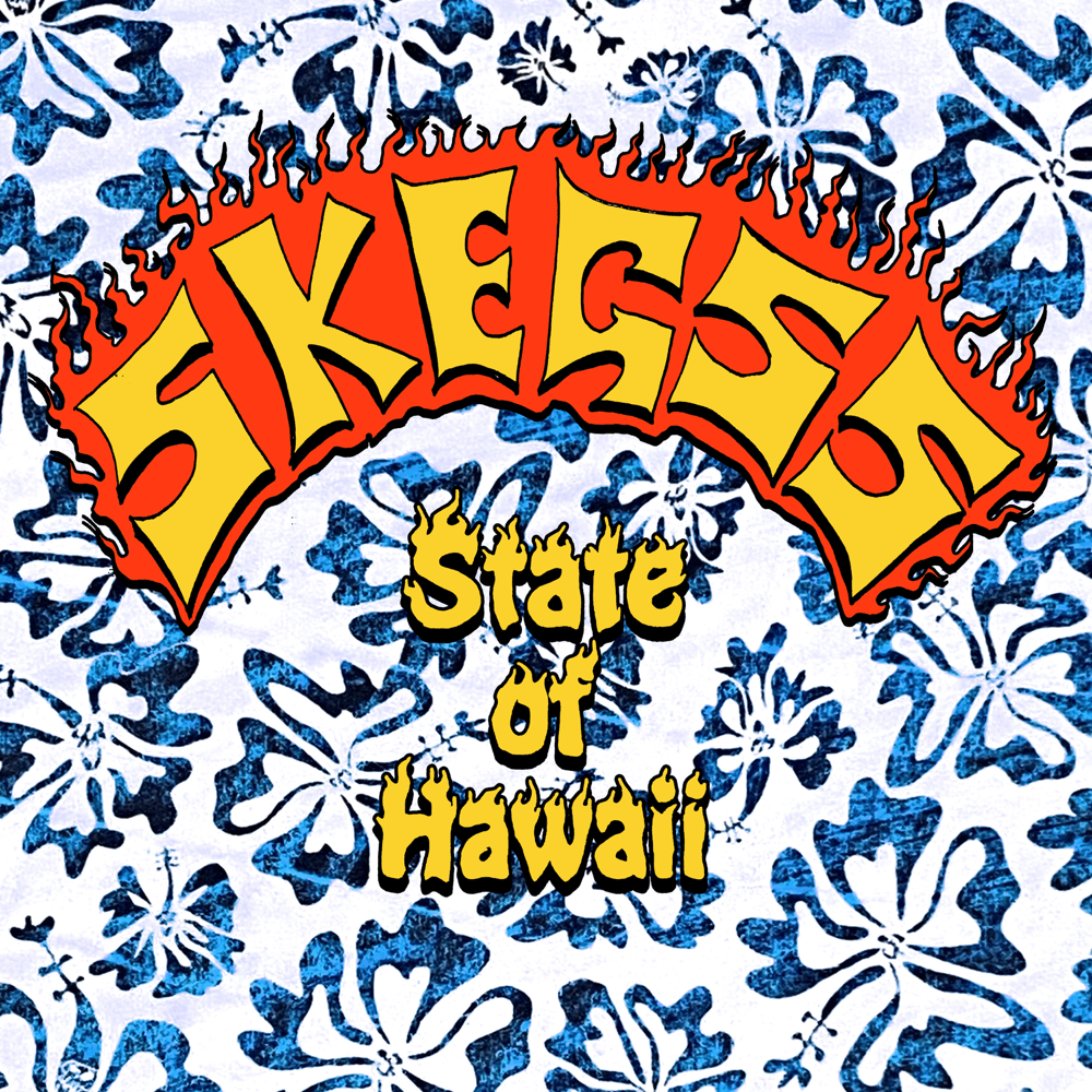 Album cover art for "State of Hawaii" by Skegss