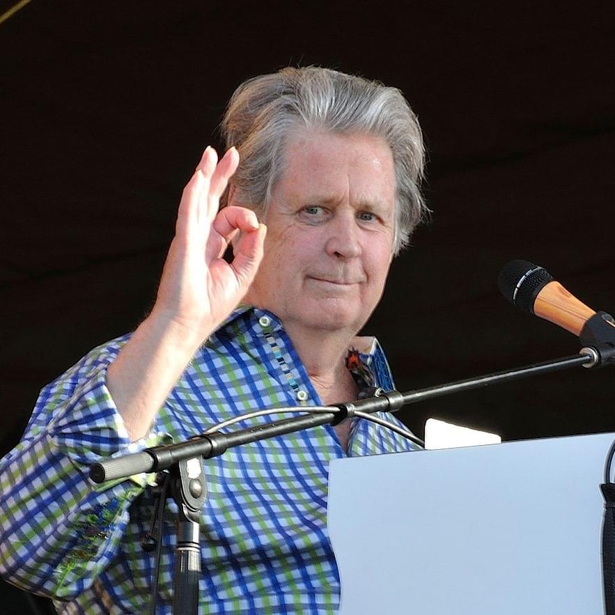 Cover image for Brian Wilson