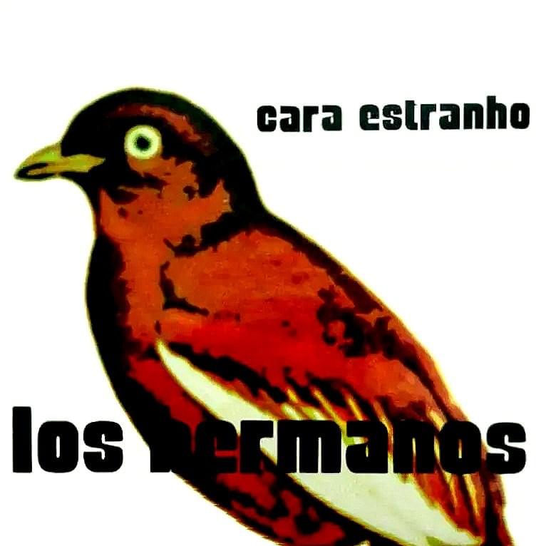 Cara Estranho by Los Hermanos