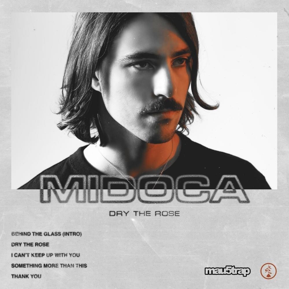 Something More Than This by Midoca