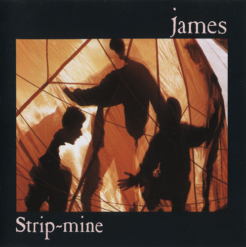 Cover image for Strip-mine